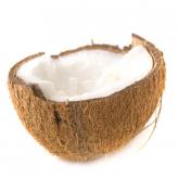  (Cocos nucifera L.)