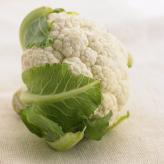  (Brassica cauliflora)