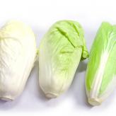   (Brassica chinensis)  (Brassica pekinensis)